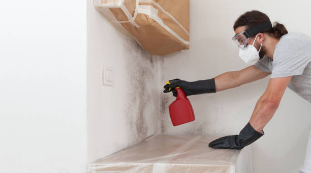 Professional Attic Mold Remediation technician working in Newtown, PA