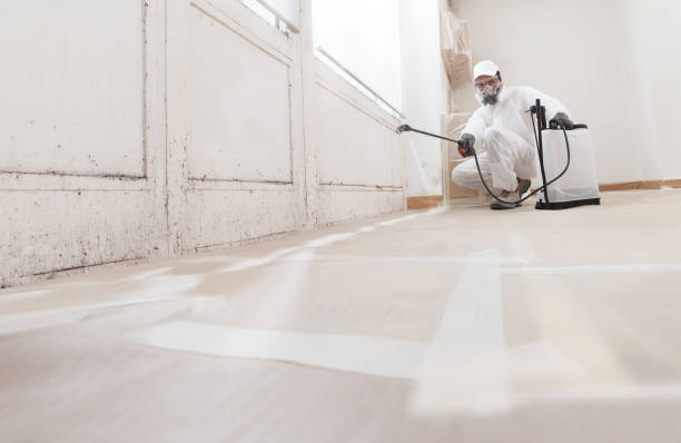 24/7 Emergency Attic Mold Remediation experts in Newtown, PA