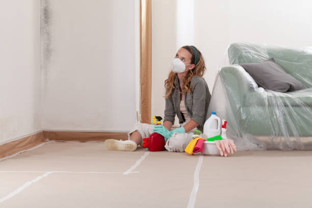 Reliable Attic Mold Remediation contractor in Newtown, PA by Car Mold Remediation